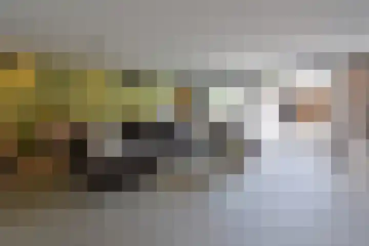 Antennestraat 17 Huizen thumbnail 4
