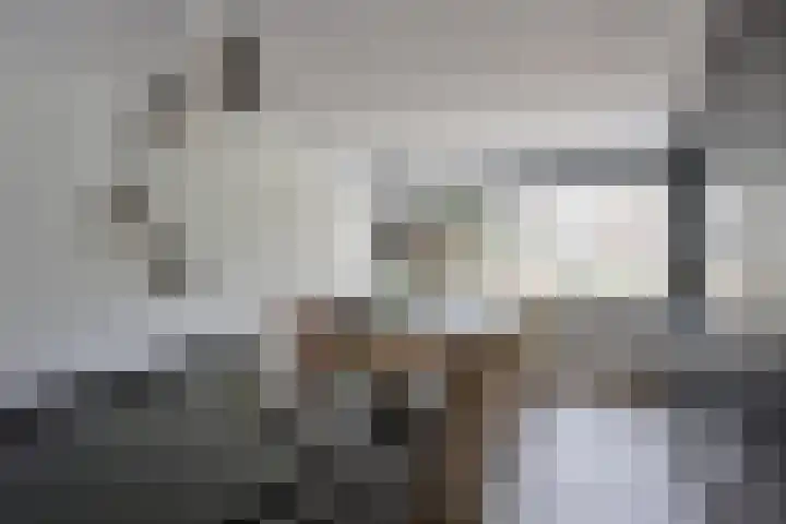 Antennestraat 17 Huizen thumbnail 5