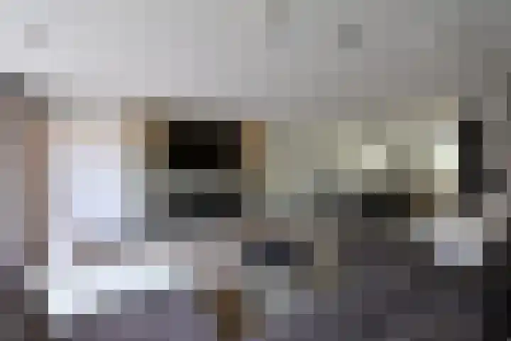 Antennestraat 17 Huizen thumbnail 7