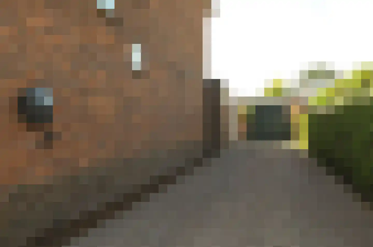 Antennestraat 30 Huizen thumbnail 21