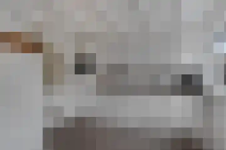 Antennestraat 8 Huizen thumbnail 12