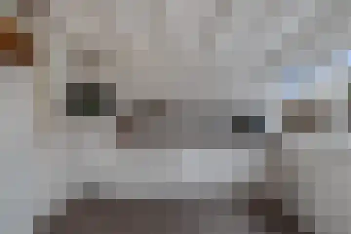 Antennestraat 8 Huizen thumbnail 13
