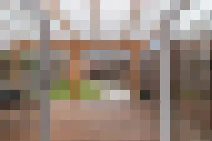 Antennestraat 8 Huizen thumbnail 16