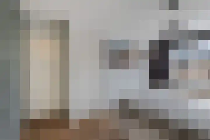 Antennestraat 8 Huizen thumbnail 22