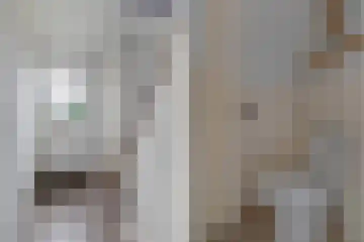 Antennestraat 8 Huizen thumbnail 5