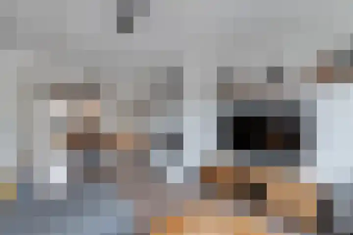 Antennestraat 8 Huizen thumbnail 8