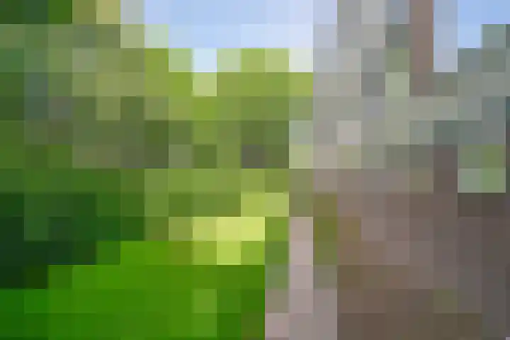 Anth. Fokkerstraat 46 Zwijndrecht thumbnail 32