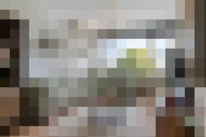 Anth. Fokkerstraat 46 Zwijndrecht thumbnail 6