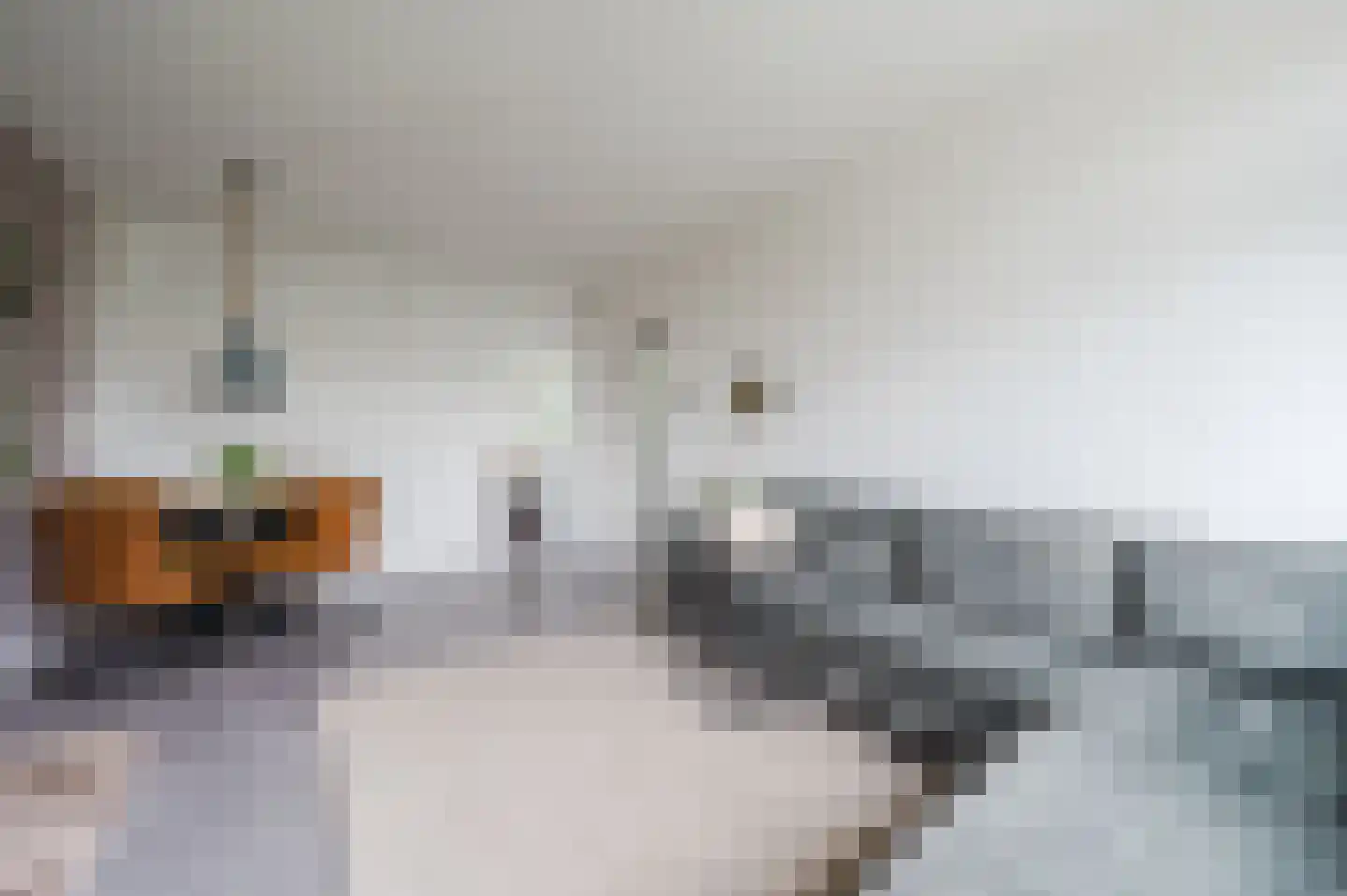 Anth. Fokkerstraat 48 Zwijndrecht thumbnail 7