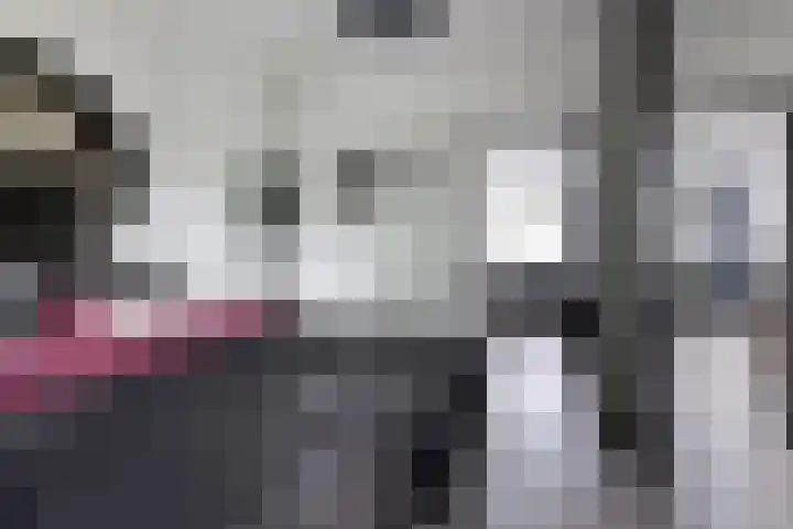 Anth. Fokkerstraat 62 Zwijndrecht thumbnail 13