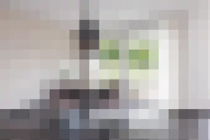 Anthemiahof 14 b Nuth thumbnail 17