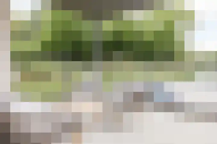 Anthemiahof 14 b Nuth thumbnail 22