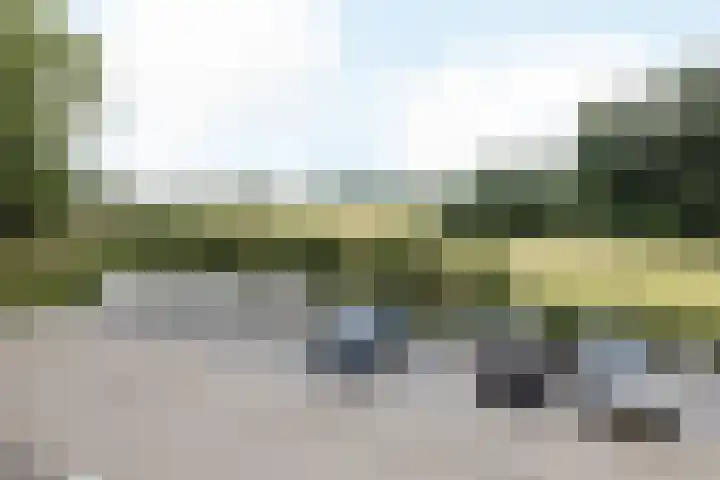 Anthemiahof 14 b Nuth thumbnail 33