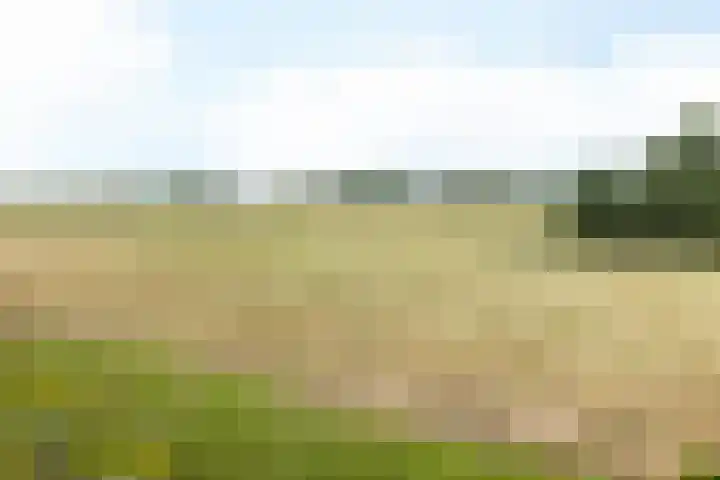 Anthemiahof 14 b Nuth thumbnail 35