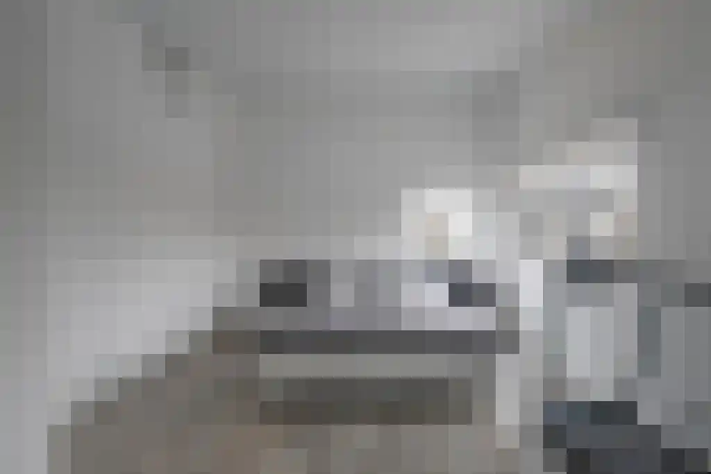 Anthemiahof 28 Nuth thumbnail 18