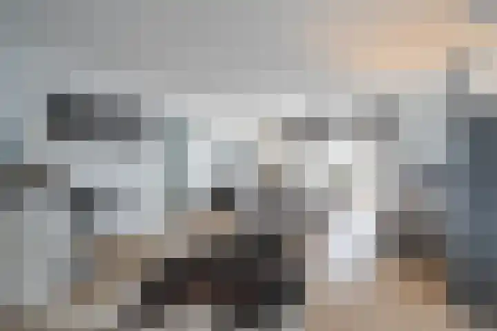 Anthemiahof 28 Nuth thumbnail 4
