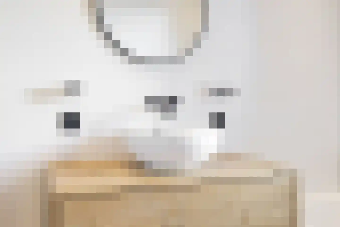 Anthemiahof 34 Nuth thumbnail 19