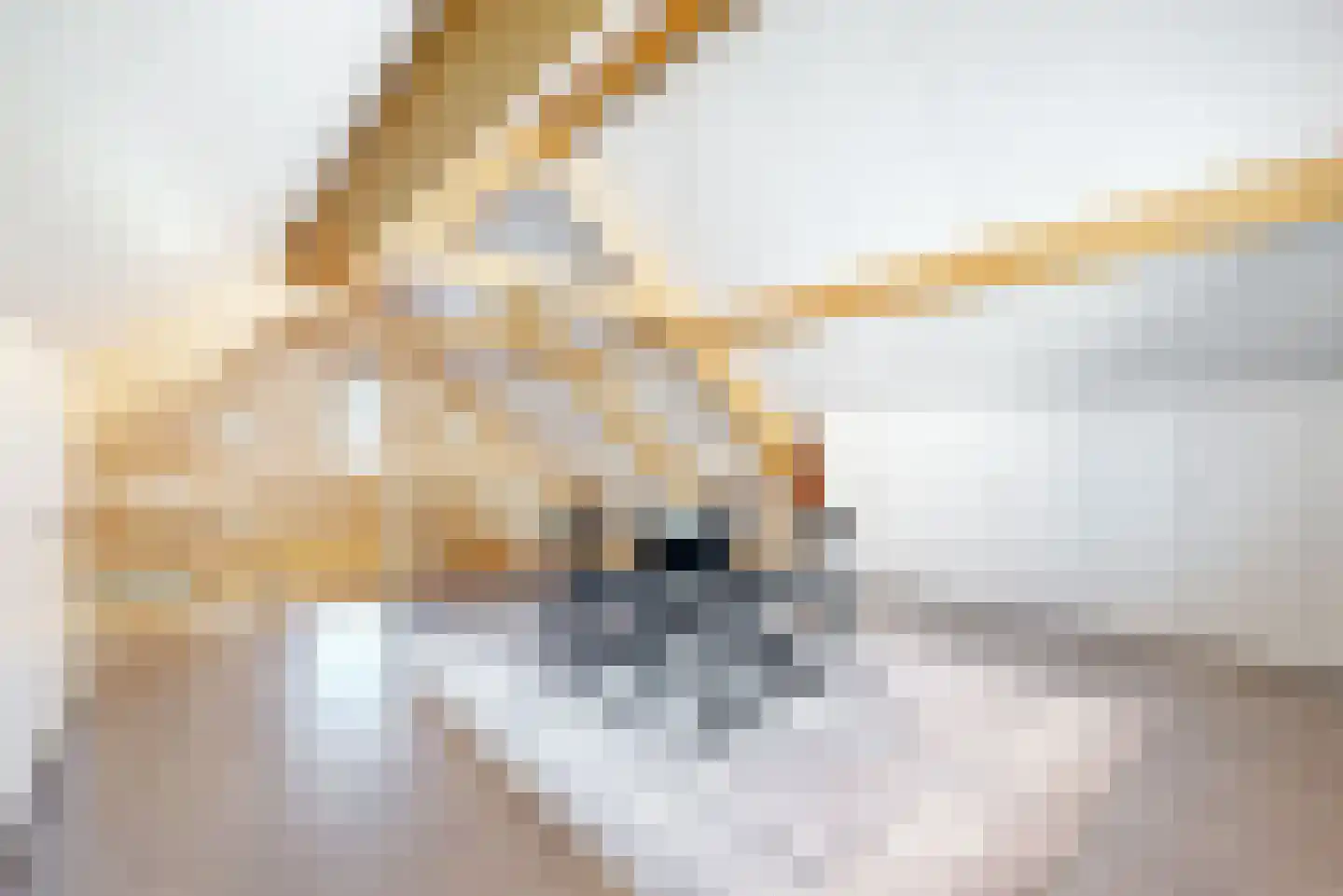 Anthemiahof 34 Nuth thumbnail 22