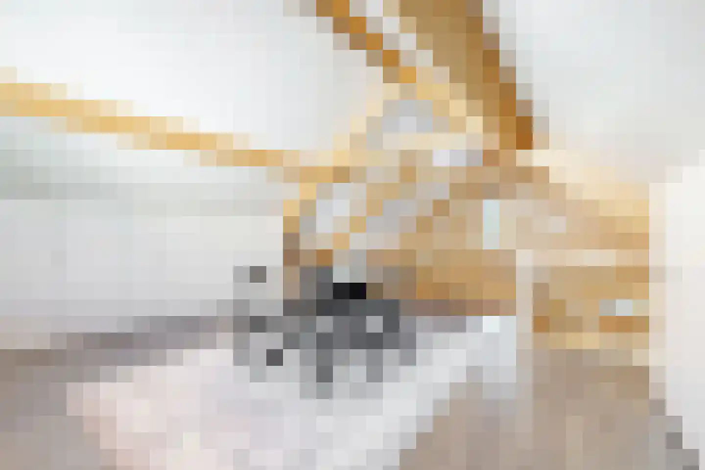 Anthemiahof 34 Nuth thumbnail 23