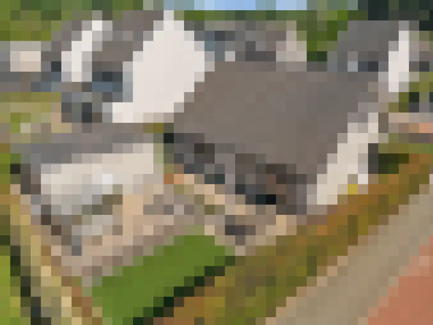 Anthemiahof 34 Nuth thumbnail 36