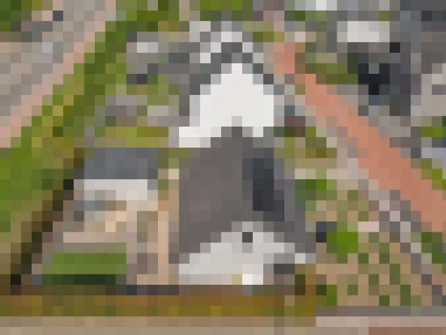Anthemiahof 34 Nuth thumbnail 37