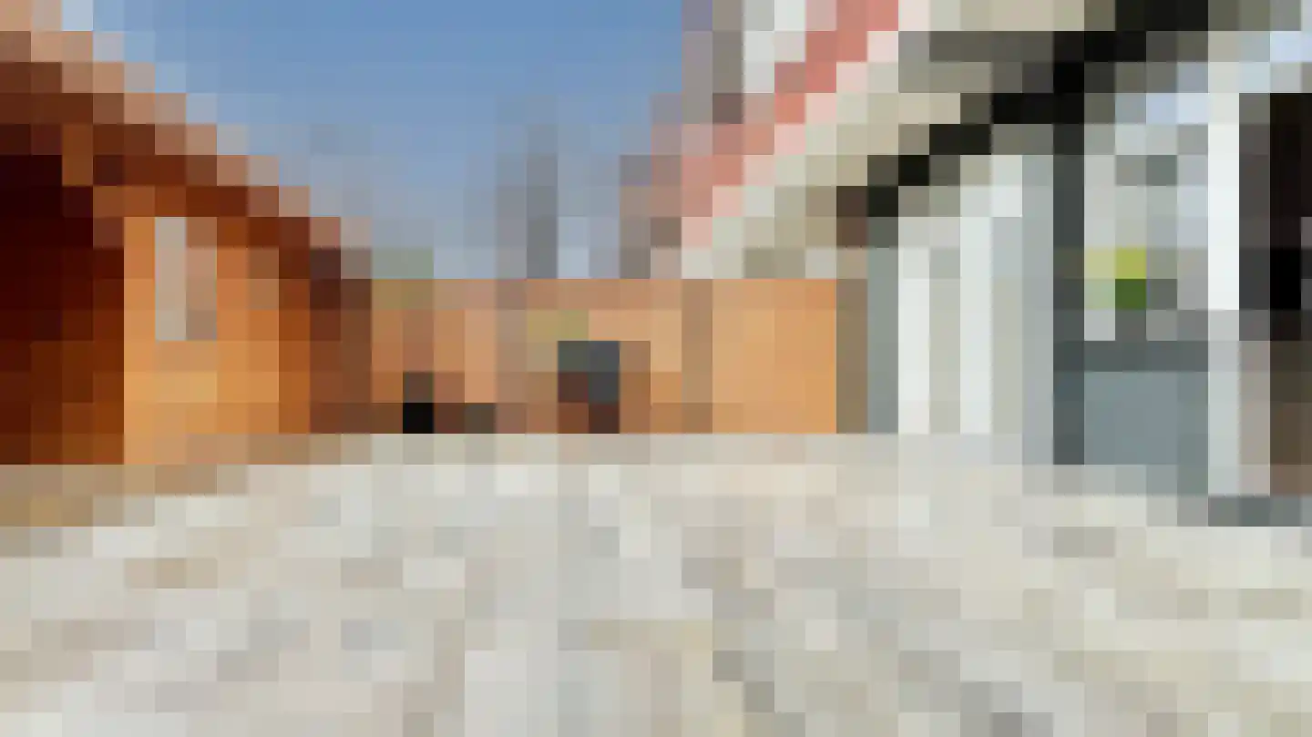 Antheunisstraat 112 Den Haag thumbnail 45