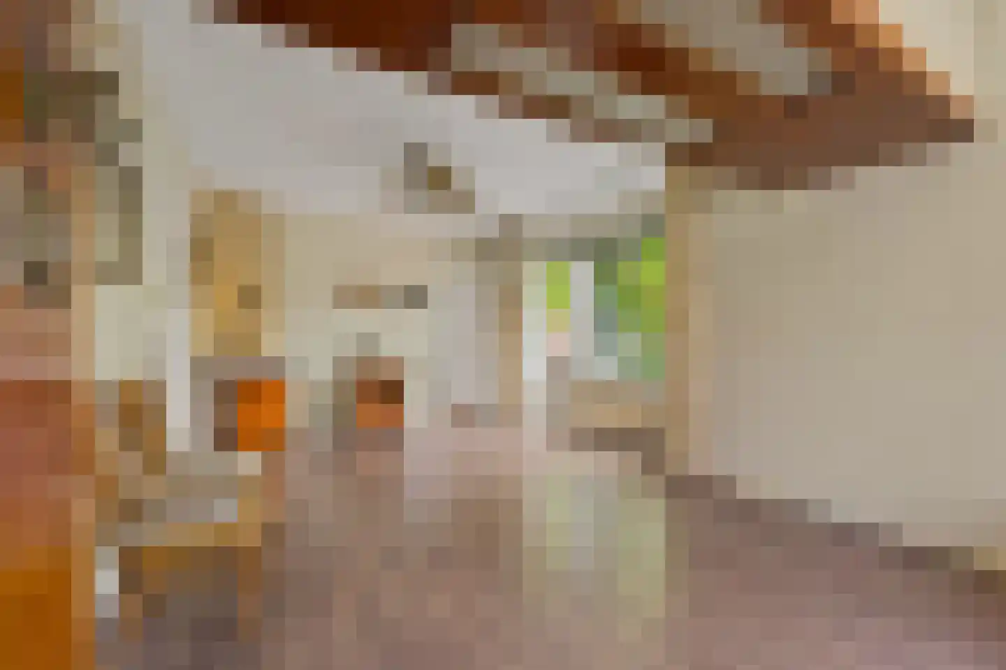Antheunisstraat 132 Den Haag thumbnail 7