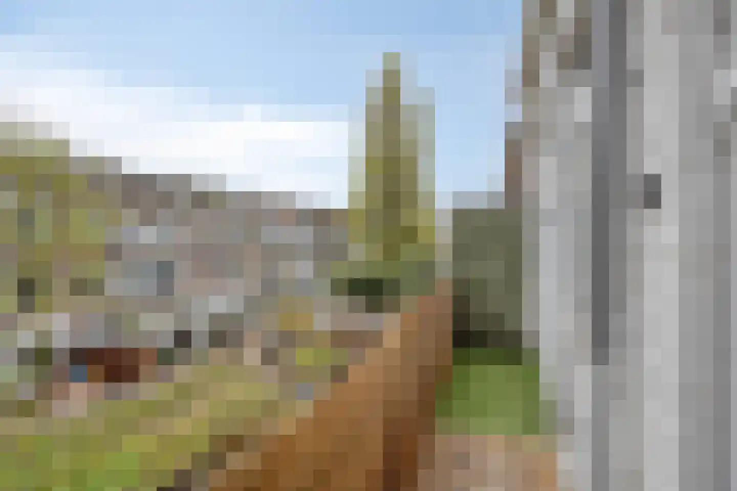 Antheunisstraat 192 Den Haag thumbnail 11