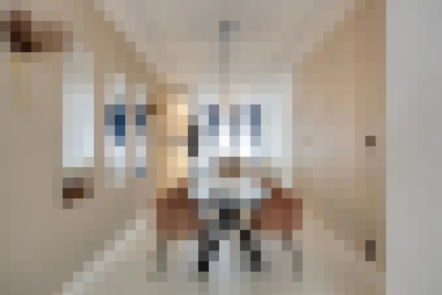 Antheunisstraat 192 Den Haag thumbnail 22
