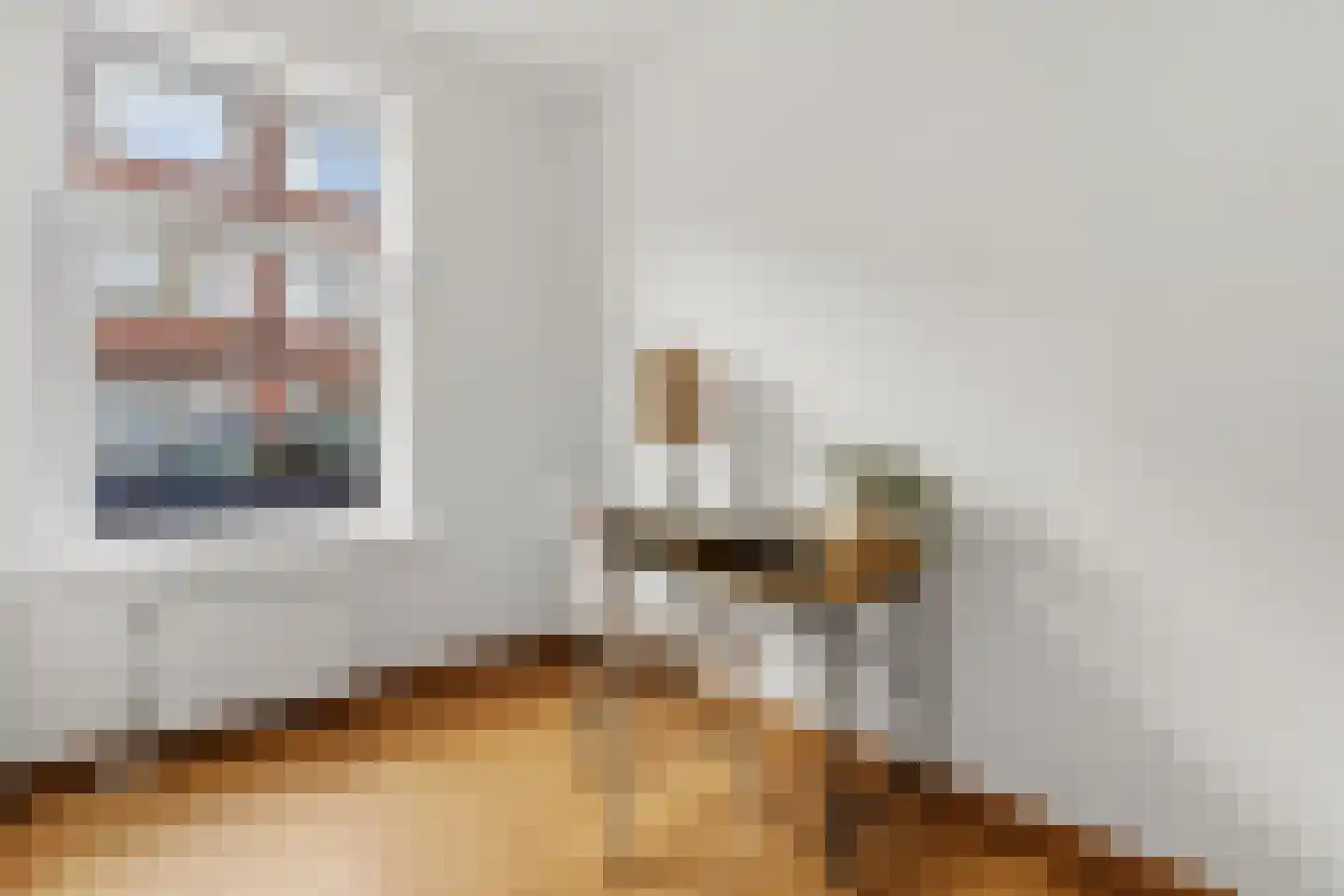 Antheunisstraat 23 Den Haag thumbnail 19