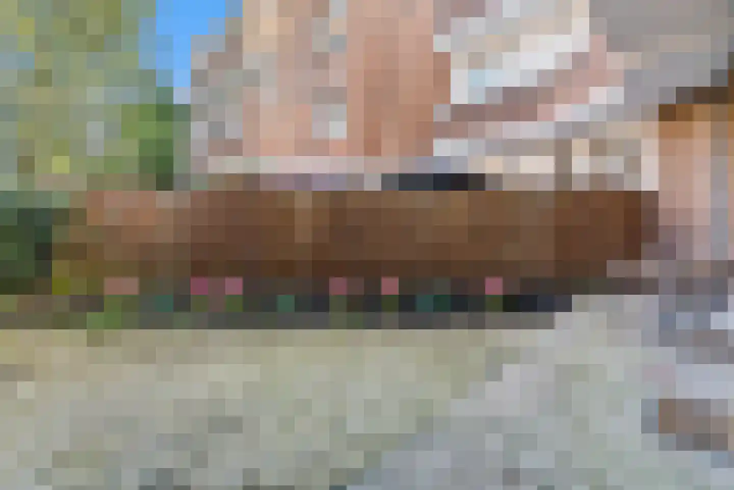 Antheunisstraat 23 Den Haag thumbnail 4