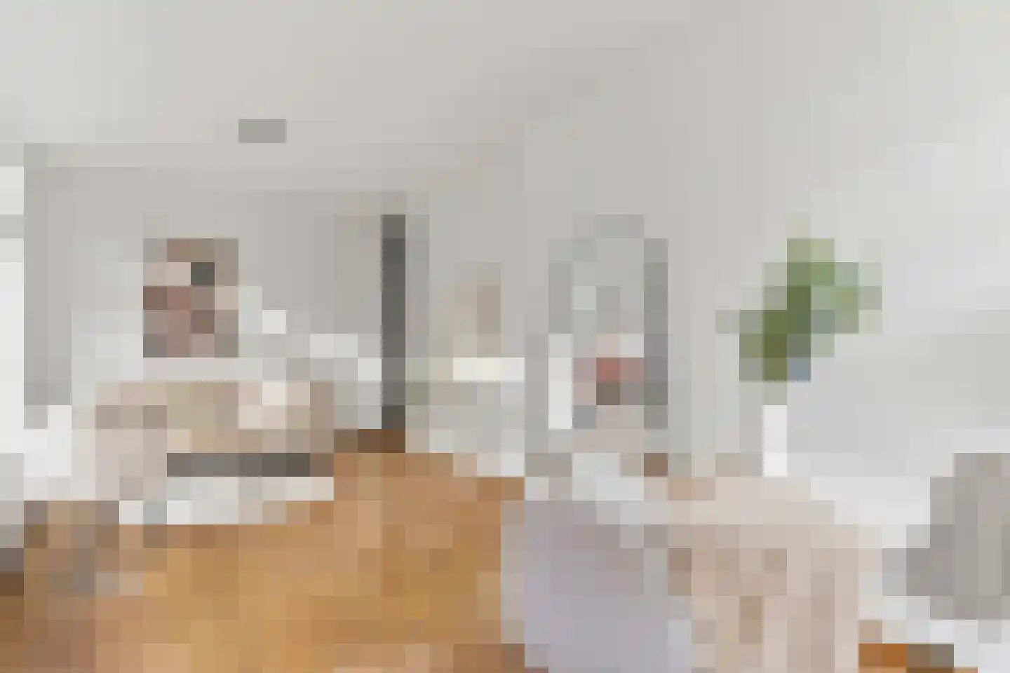 Antheunisstraat 23 Den Haag thumbnail 6