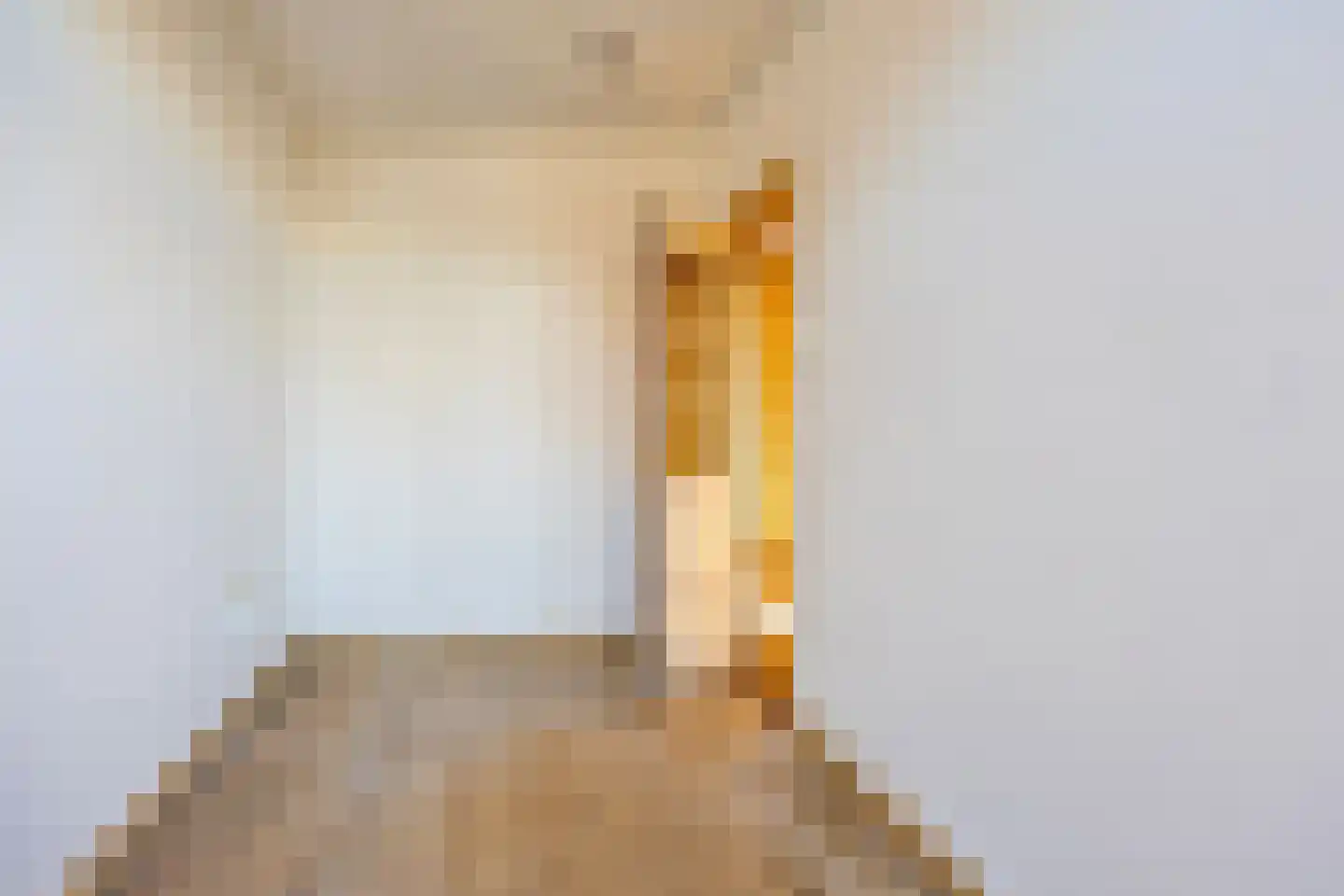 Antheunisstraat 41 Den Haag thumbnail 17
