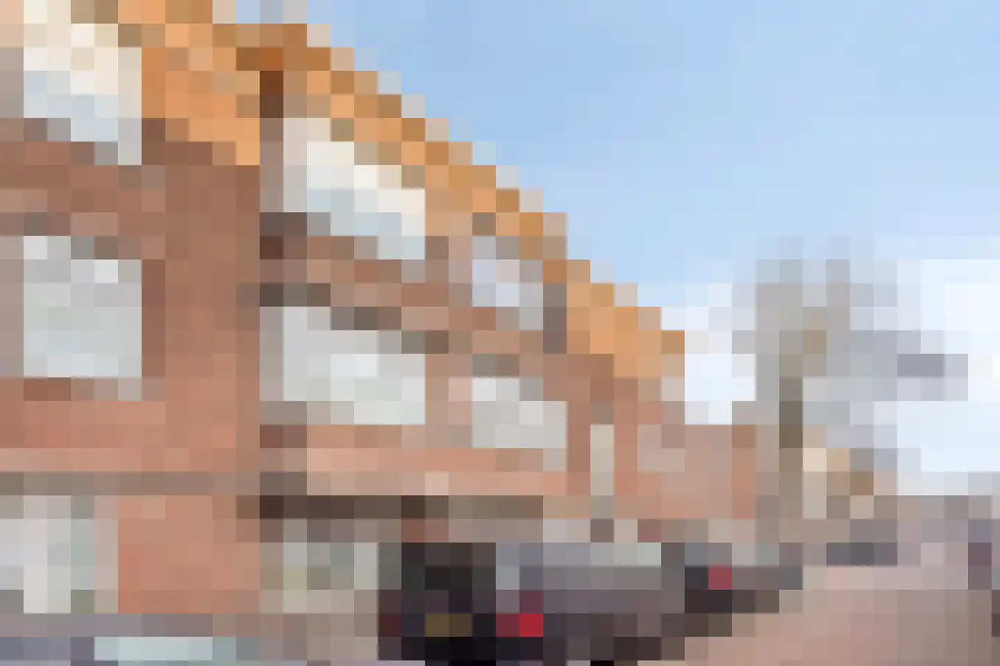 Antheunisstraat 41 Den Haag thumbnail 9