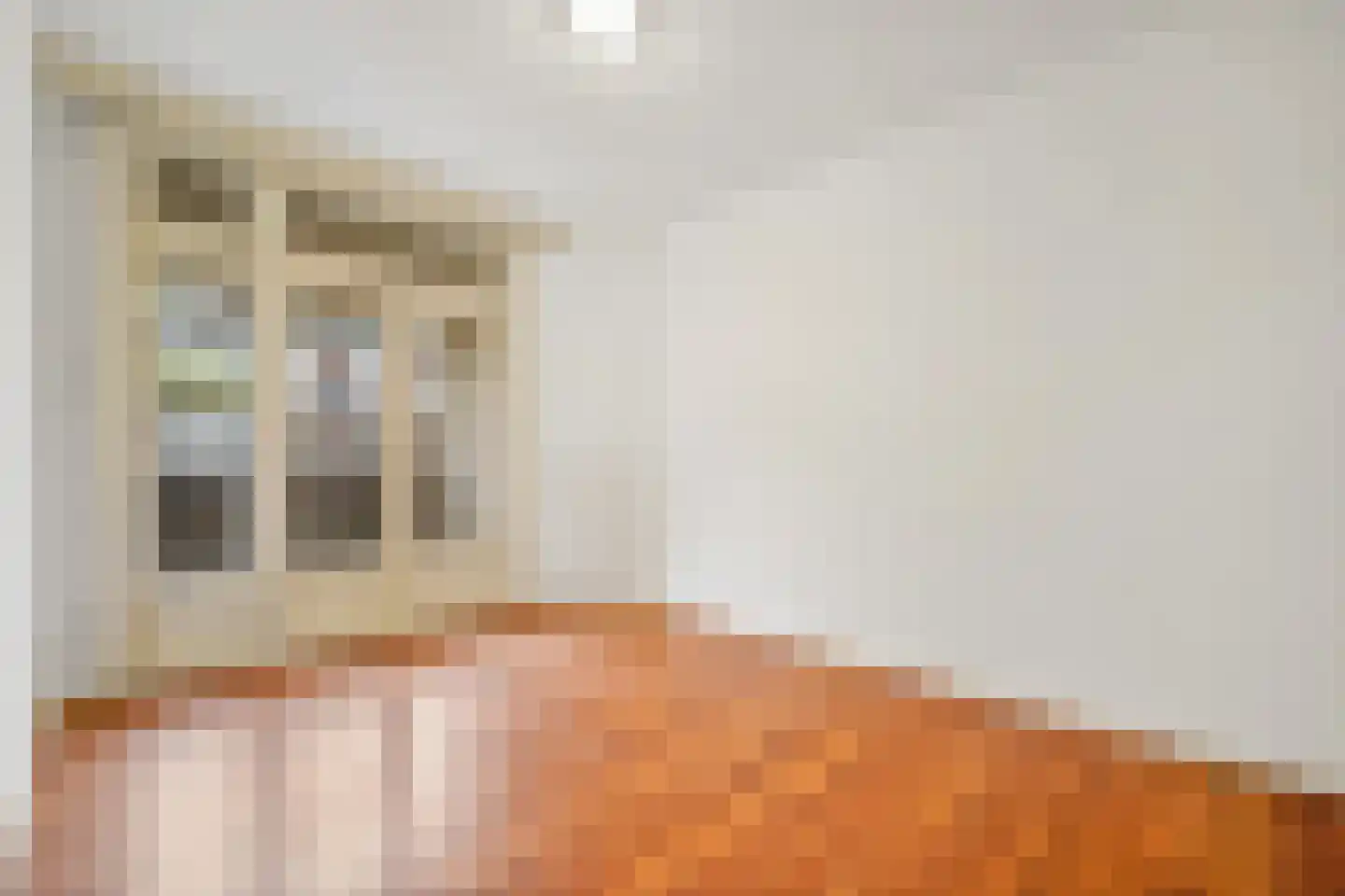 Antheunisstraat 6 Den Haag thumbnail 13