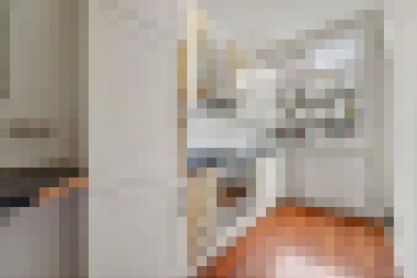 Antheunisstraat 6 Den Haag thumbnail 16