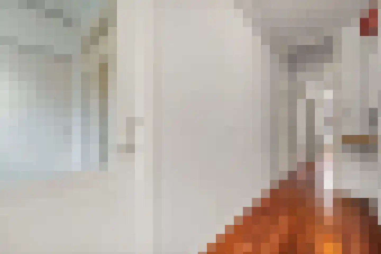 Antheunisstraat 6 Den Haag thumbnail 17