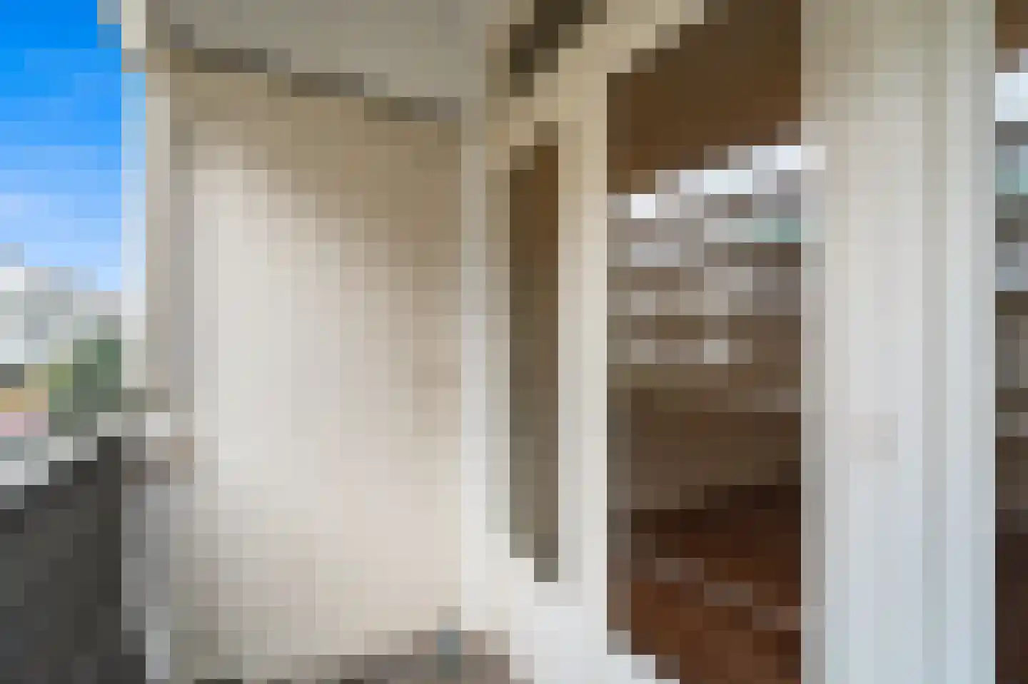 Antheunisstraat 6 Den Haag thumbnail 18