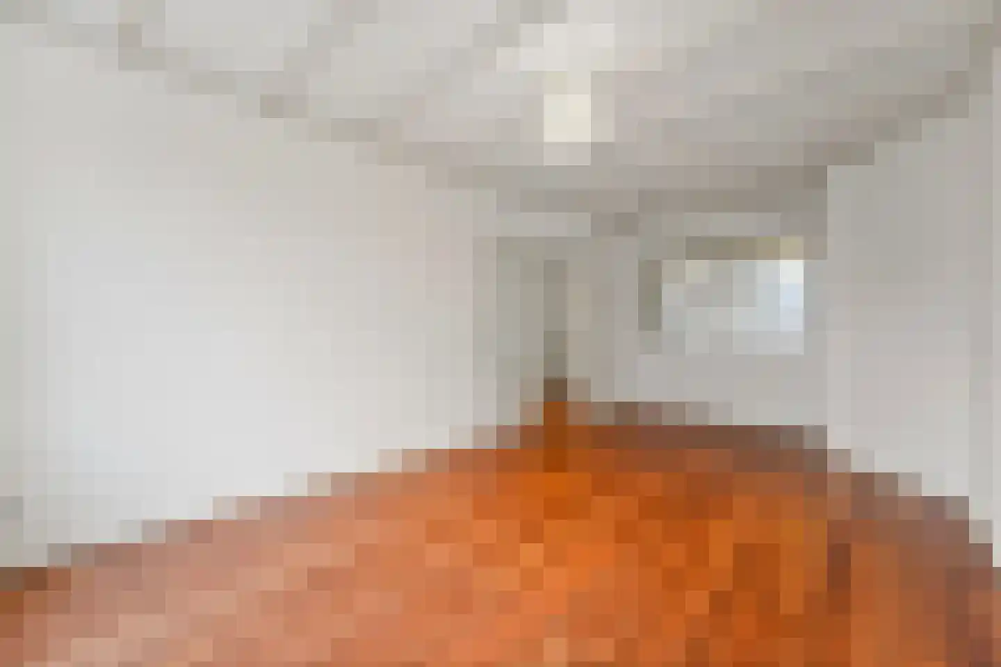Antheunisstraat 6 Den Haag thumbnail 5