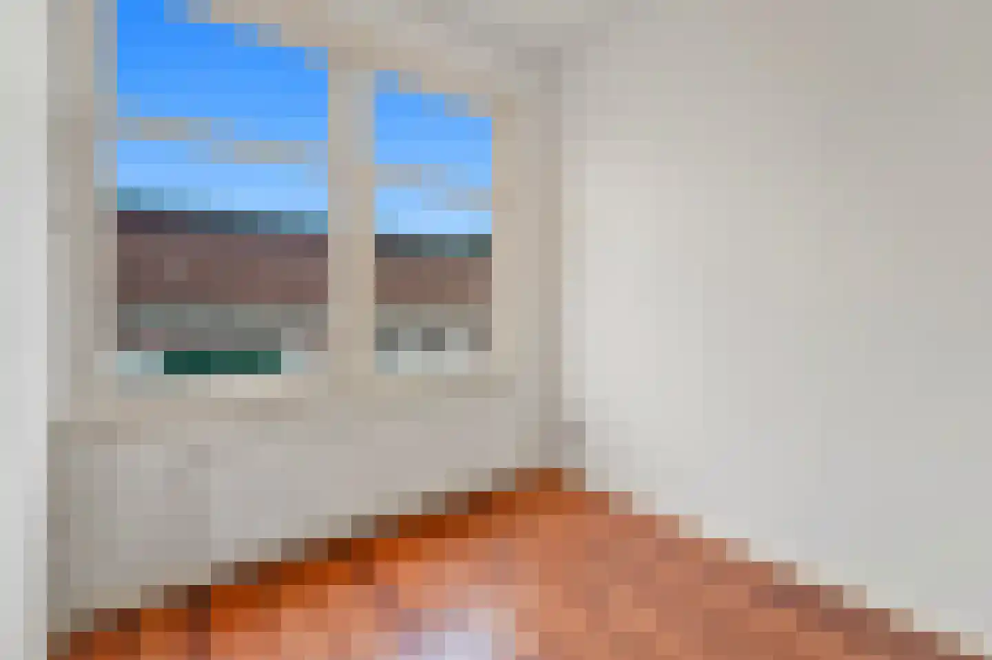 Antheunisstraat 6 Den Haag thumbnail 6
