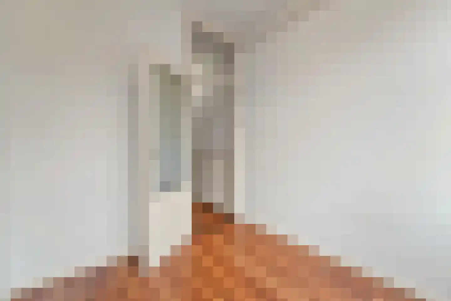 Antheunisstraat 6 Den Haag thumbnail 8