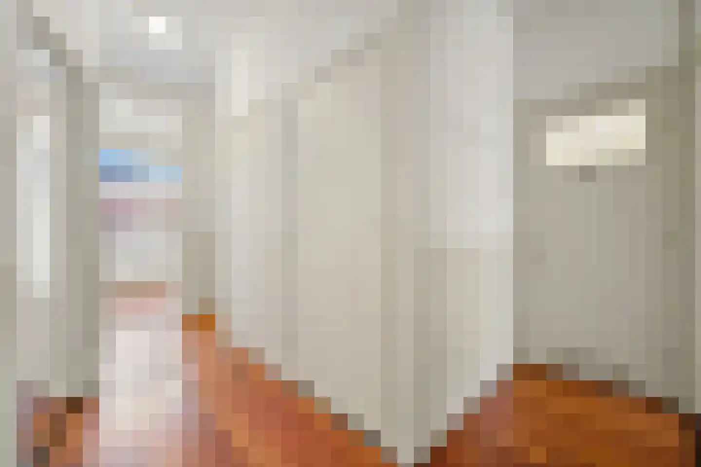 Antheunisstraat 6 Den Haag thumbnail 9