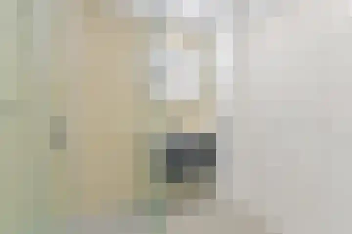Antheunisstraat 78 Den Haag thumbnail 7