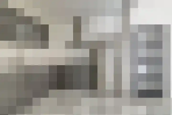 Antheunisstraat 8 Den Haag thumbnail 11