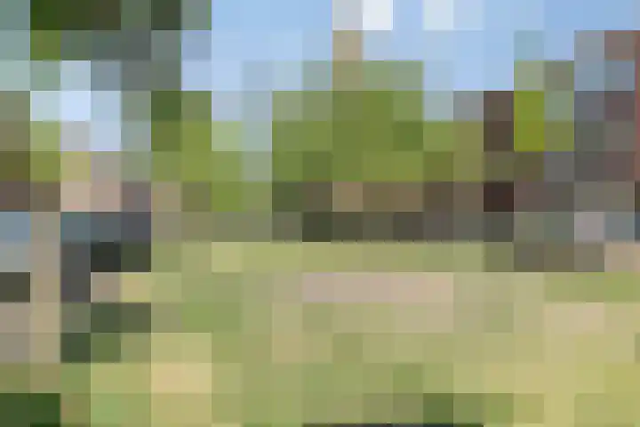 Antheunisstraat 8 Den Haag thumbnail 28