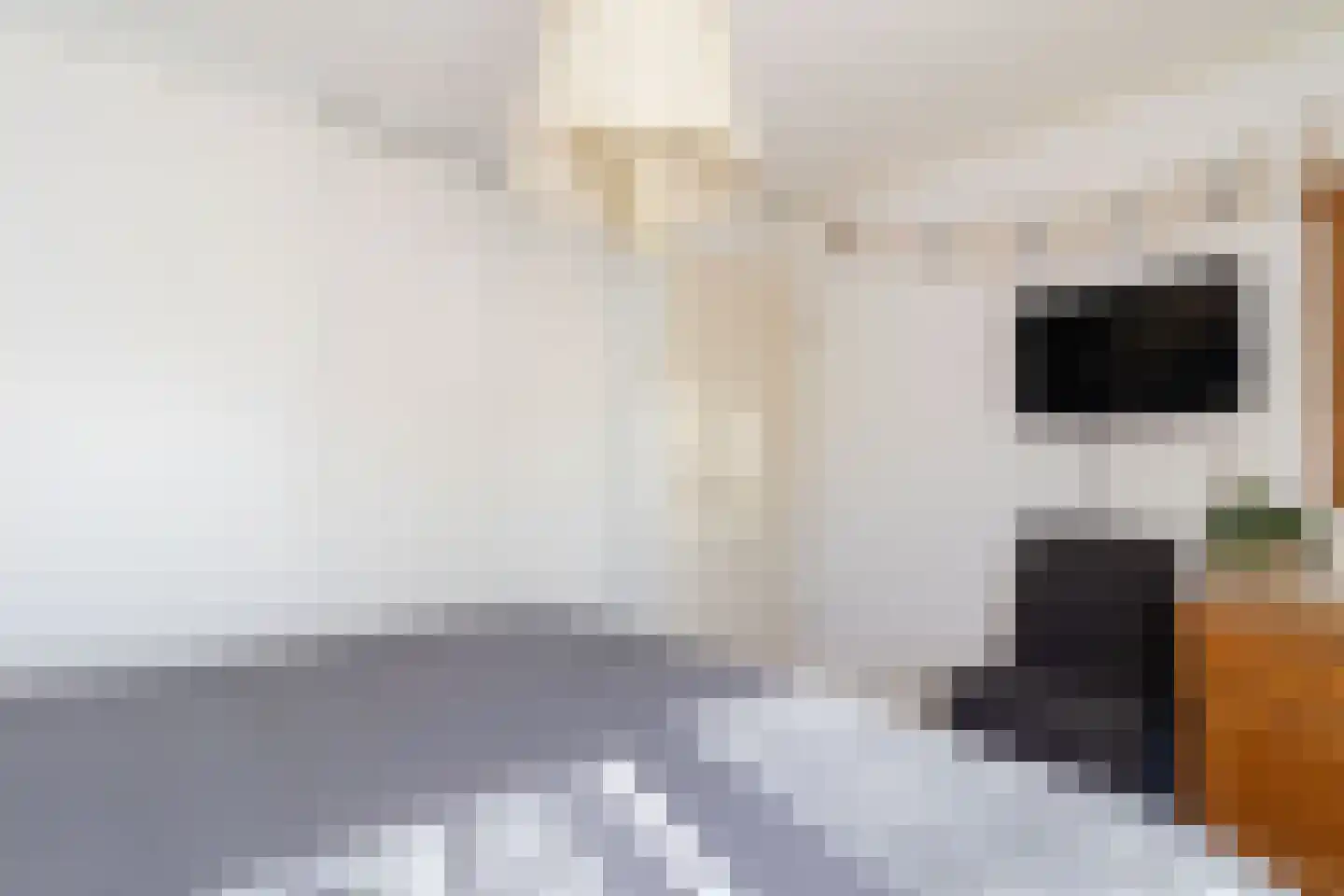 Anthon van der Horstlaan 15 Bunschoten-Spakenburg thumbnail 15