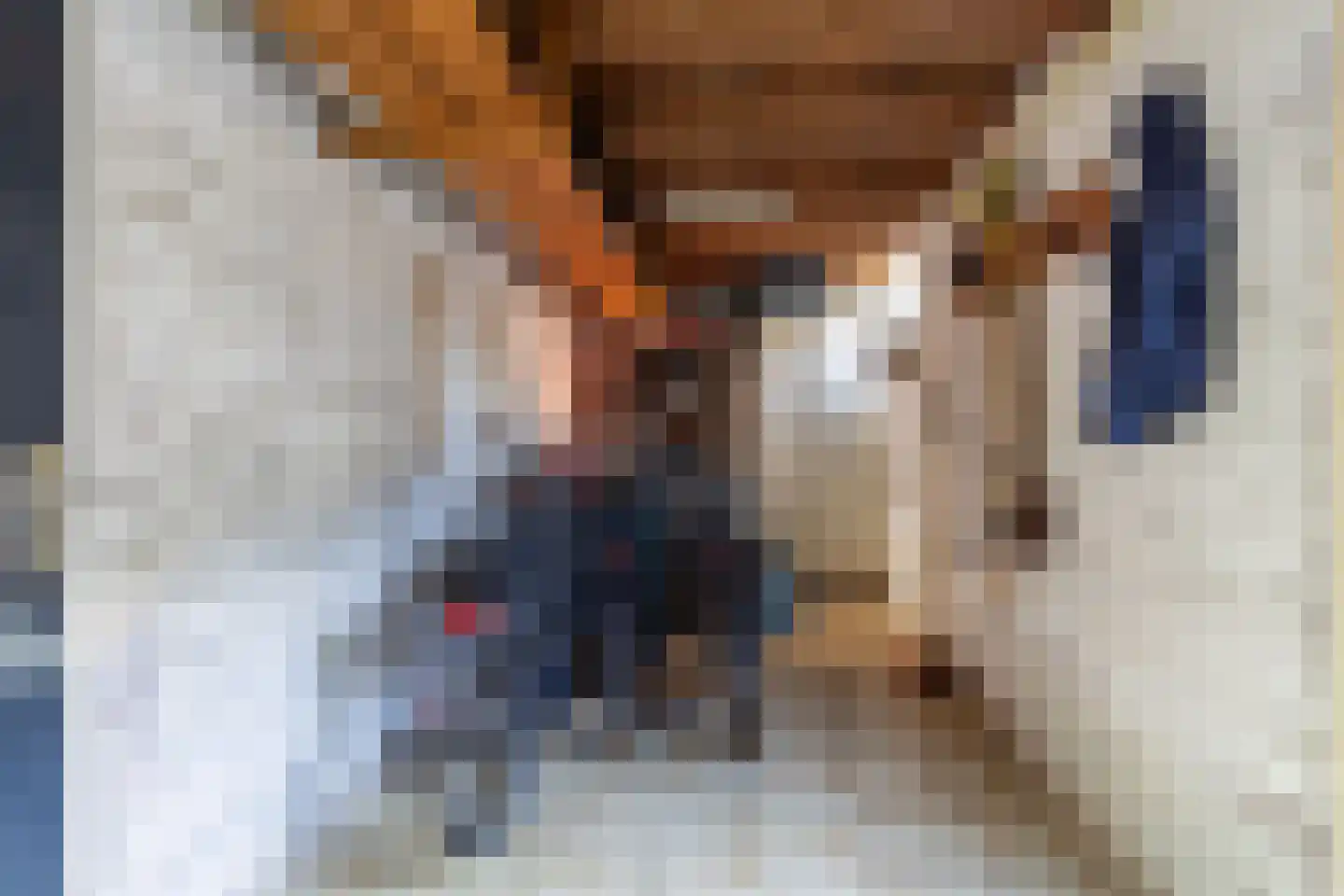 Anthon van der Horstlaan 15 Bunschoten-Spakenburg thumbnail 34