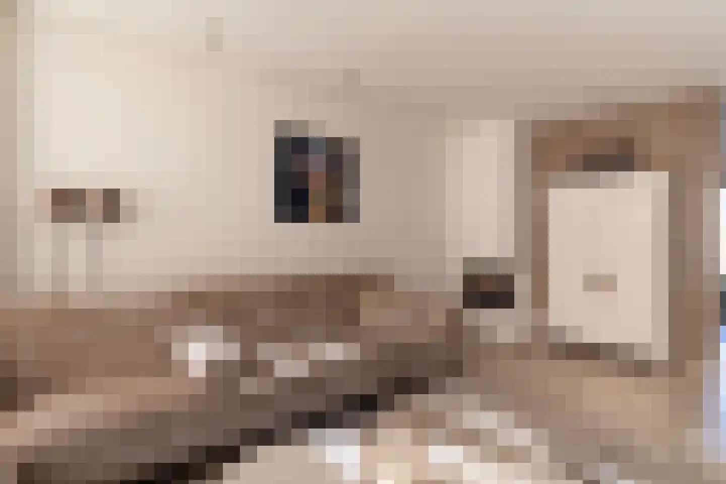Anthon van der Horstlaan 15 Bunschoten-Spakenburg thumbnail 5