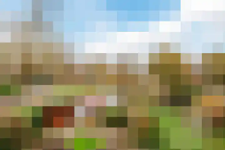 Anthon van der Horstlaan 164 Bunschoten-Spakenburg thumbnail 30