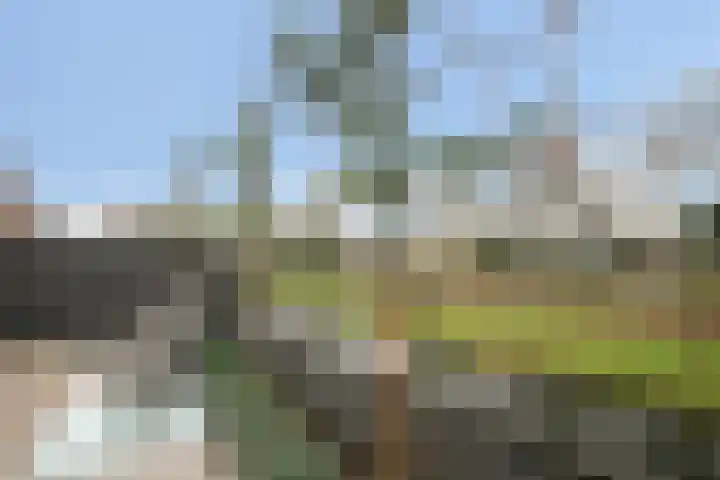 Anthon van der Horstlaan 28 Bunschoten-Spakenburg thumbnail 29